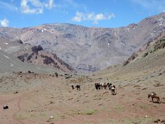 21 The Muleteers Lead Their Mules Back Down The Relinchos Valley Toward Casa de Piedra